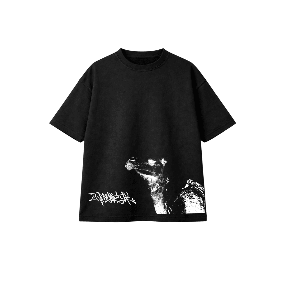 INMORTAL WILL - Image 1